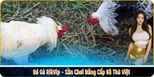 Đá Gà RikVip - Sân Chơi Đẳng Cấp Kê Thủ Việt